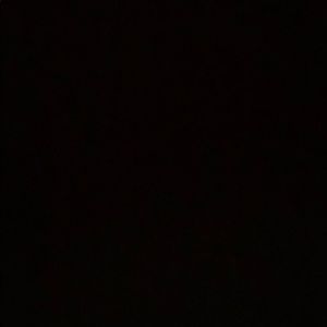 Meet your Posher, Harli